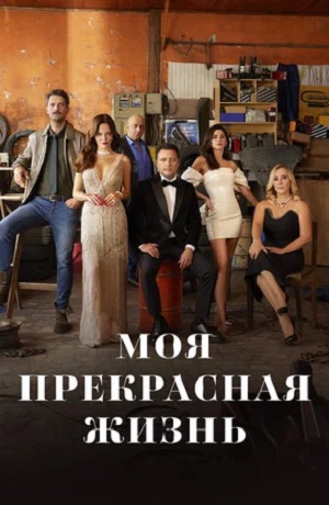 Моя прекрасная жизнь (сериал, 1-2 сезоны, все серии)